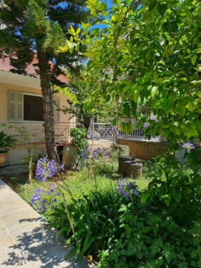 Paralia Nest